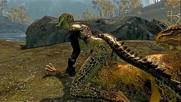 Private sex of two argonians - 2