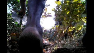 Glamour Tarzan Boy Nude Safar In Jungle Milf Porn