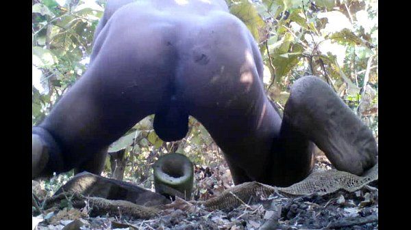 Tarzan Boy Sex In The Forest Wood - 2