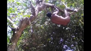Sucking Cock Village Boy Nude Safar In Forest Play With Tree's Oil