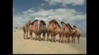Latin Brazilian Orgy Compilation Stripping