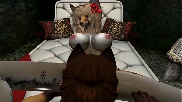 Porn Blow Jobs The Desired Meeting ( Furry / Yiff ) Amateur Porn - 1